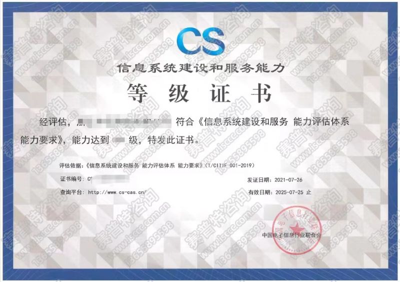 CS 信息系統(tǒng)建設和服務能力